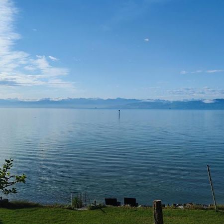 Birkhofer See Geniessen - Haus Seehang Immenstaad am Bodensee Luaran gambar